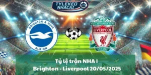 Brighton và Liverpool đều có phong độ không ổn định