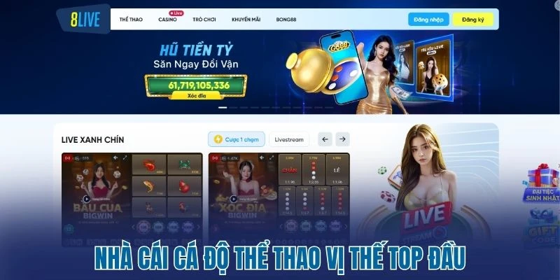 Nhà cái cá độ thể thao vị thế top đầu