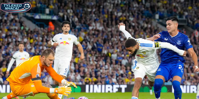 Thông tin, phong độ Everton vs Leeds United