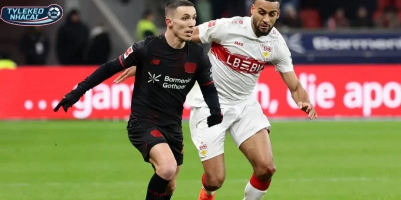 Cập nhật thông tin, phong độ Olympiakos vs Bayer Leverkusen