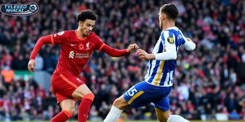 Phong độ Brighton vs Liverpool