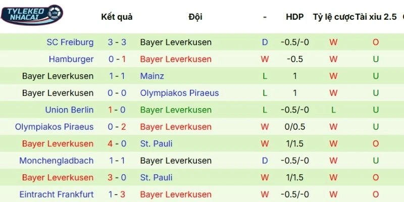 Thành tích ra sân Bayer Leverkusen mới nhất