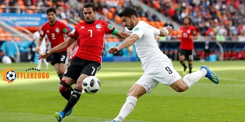 Dự đoán kèo New Zealand vs Bỉ