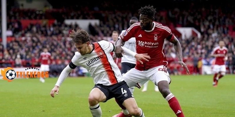 Sơ đồ dự kiến ra sân sắp tới của Scotland vs Brazil