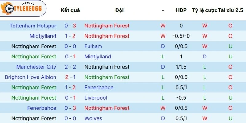 Thành tích ra sân của Nottingham